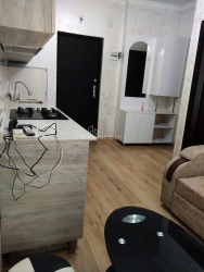 Բնակարան 2-комн 29 m² - Շալվա Ինասարիձե, Batumi