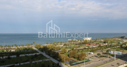 Բնակարան 1-комн 172 m² - Լեխ և Մարիա Կաչինսկիներ, Batumi