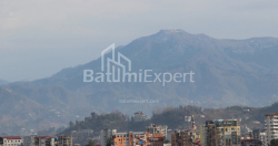 Բնակարան 1-комн 88.4 m² - Լեխ և Մարիա Կաչինսկիներ, Batumi