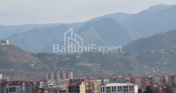 Բնակարան 1-комн 88.4 m² - Լեխ և Մարիա Կաչինսկիներ, Batumi