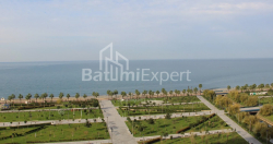 Բնակարան 1-комн 172.5 m² - Լեխ և Մարիա Կաչինսկիներ, Batumi